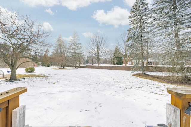 view of yard covered in snow