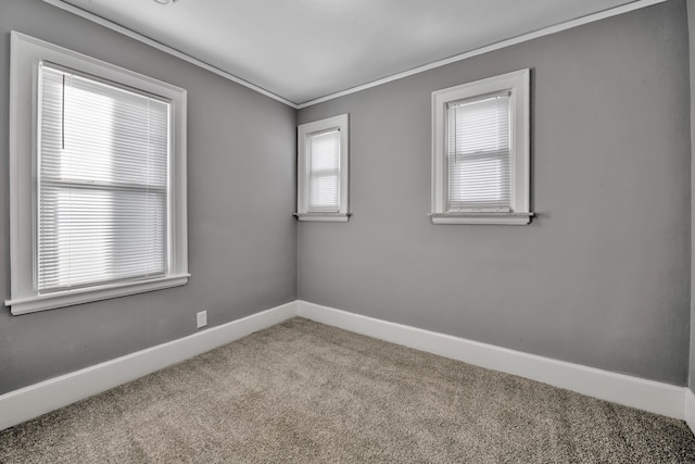 unfurnished room with crown molding and carpet