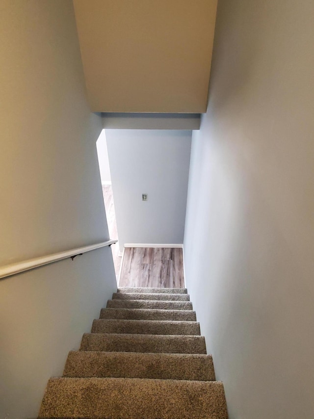 stairway featuring wood-type flooring