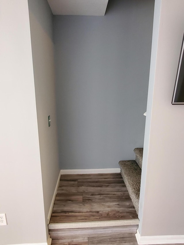 stairs with hardwood / wood-style floors