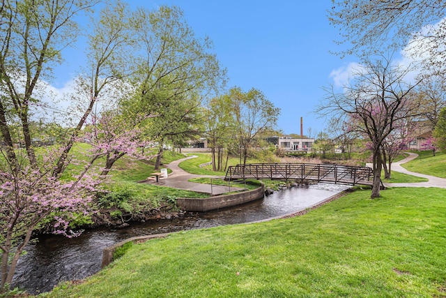 view of community featuring a water view and a yard