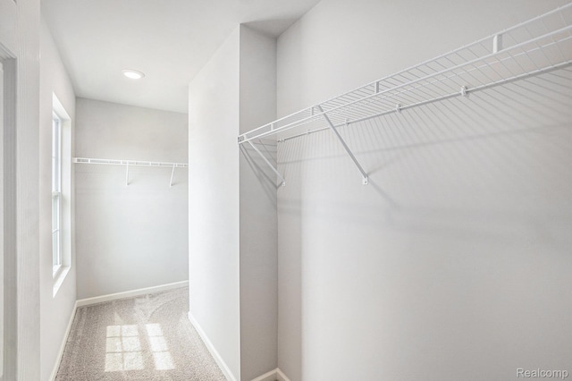 730 Natalia Dr, Davison, MI 48423 - walk in closet featuring carpet flooring