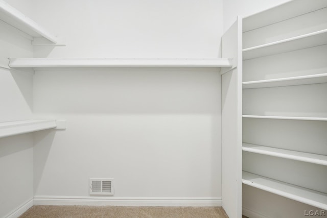 spacious closet featuring light carpet