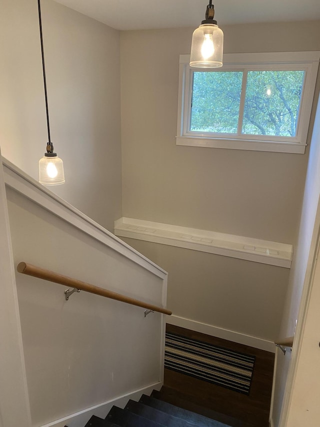 stairs with hardwood / wood-style flooring