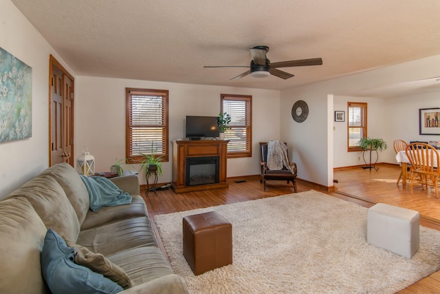 living room featuring ceiling fan, a textured ceiling, and light wood-type flooring