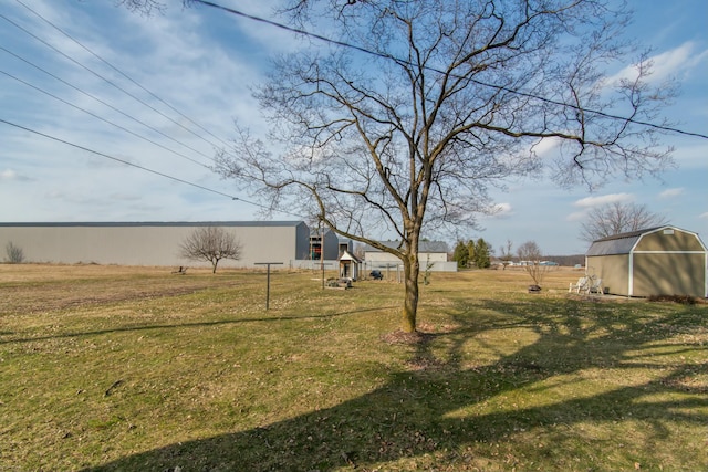 view of yard with a shed