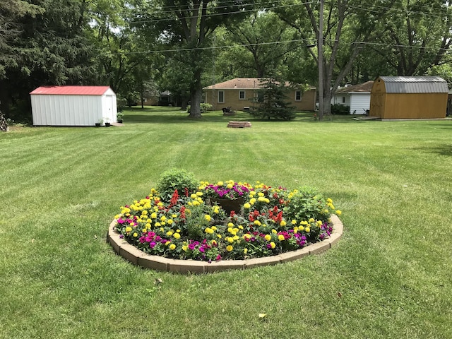 view of yard with a storage unit