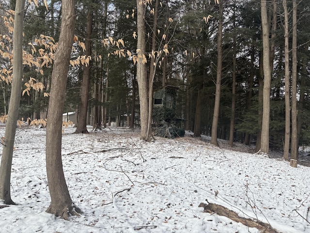 view of snowy landscape