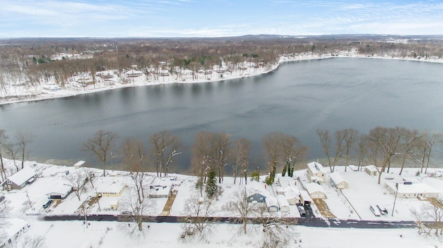 snowy aerial view featuring a water view