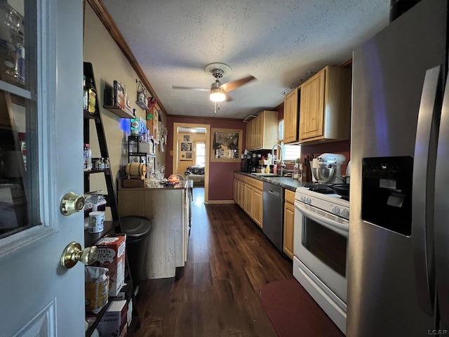 kitchen with sink, dark wood-type flooring, ceiling fan, appliances with stainless steel finishes, and a textured ceiling