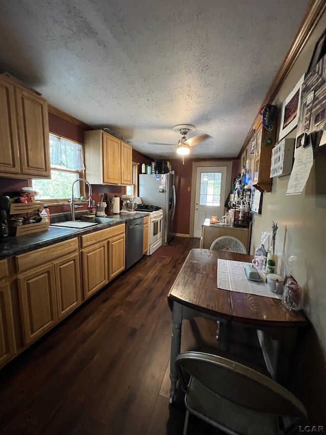 kitchen with white gas stove, sink, a textured ceiling, dark hardwood / wood-style floors, and dishwasher