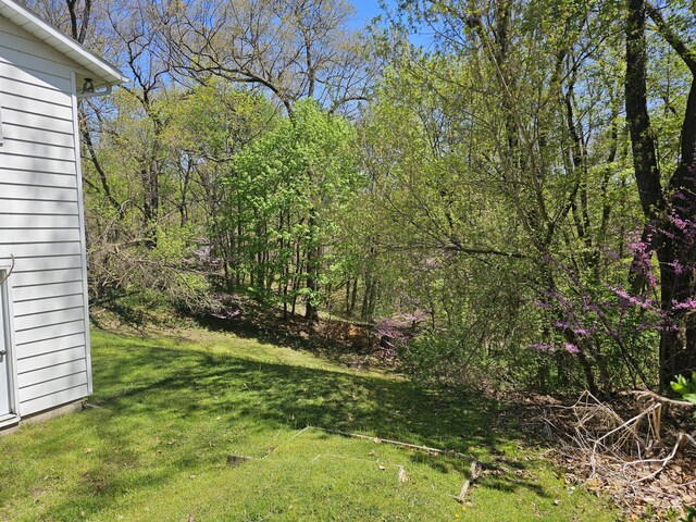 77 Leitch Dr, Battle Creek, MI 49015 - photo 4