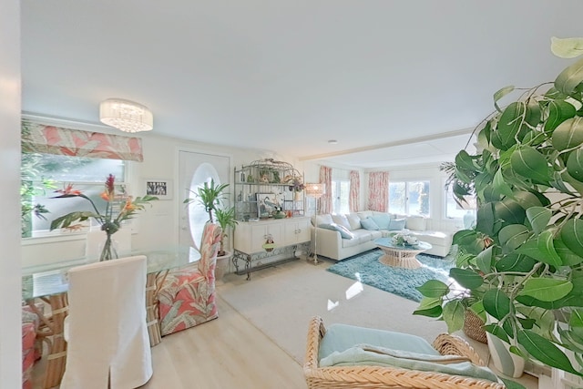 living room with light hardwood / wood-style floors