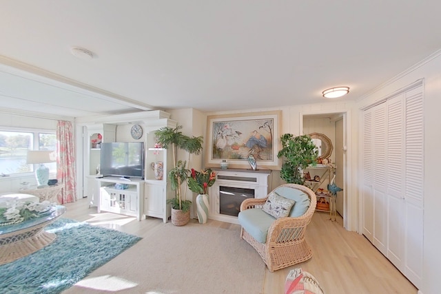 sitting room featuring light hardwood / wood-style floors