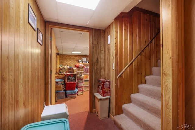 stairs featuring wood walls and carpet flooring