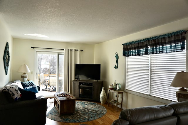 living room with wood-type flooring and a textured ceiling