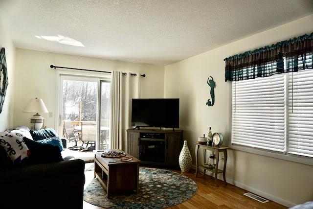 living room featuring hardwood / wood-style flooring and a textured ceiling