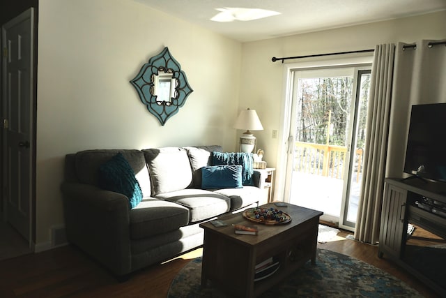 living room with dark hardwood / wood-style floors