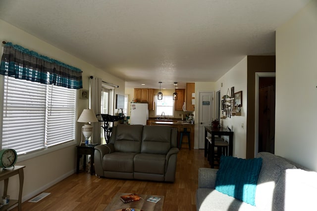 living room featuring wood-type flooring, sink, and a textured ceiling