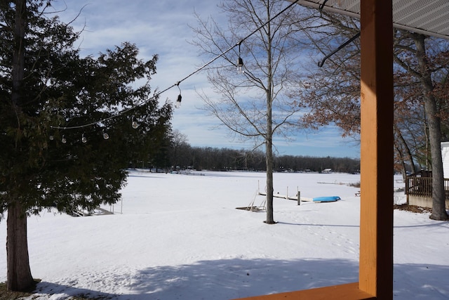 view of yard covered in snow