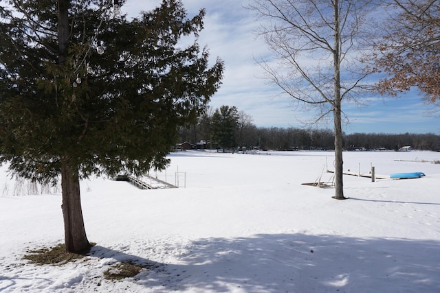 view of yard covered in snow