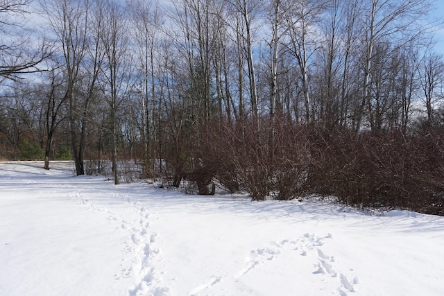 view of snowy yard