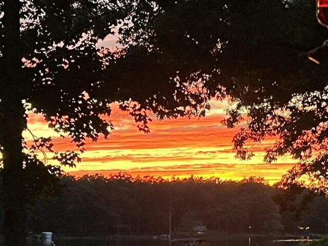 view of nature at dusk