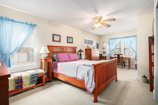 carpeted bedroom with multiple windows