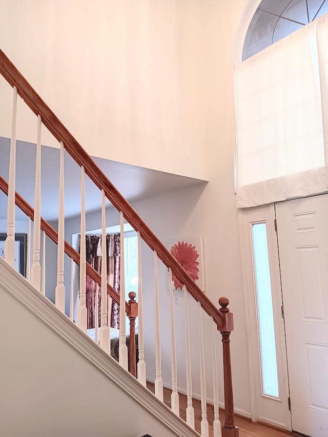 entryway featuring a towering ceiling