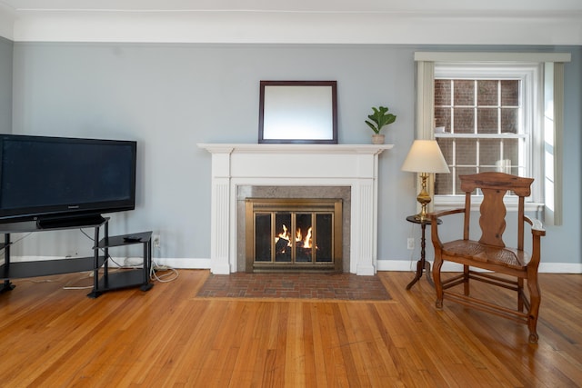 interior space with hardwood / wood-style flooring and a healthy amount of sunlight