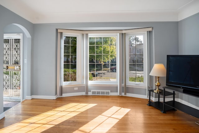 entryway featuring a wealth of natural light and light wood-type flooring