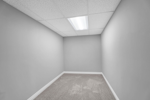 carpeted empty room with a drop ceiling