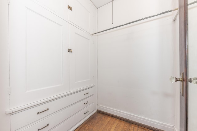 spacious closet with wood-type flooring