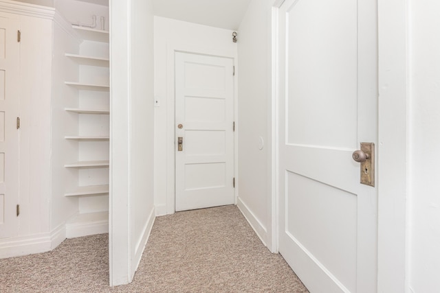 entryway with light carpet