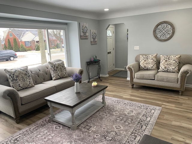 living room featuring wood-type flooring