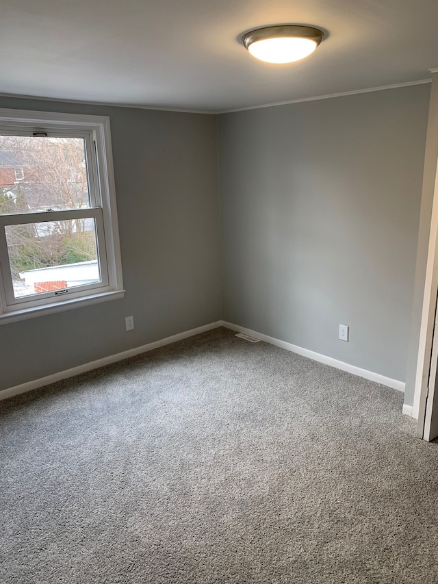 spare room featuring crown molding and carpet