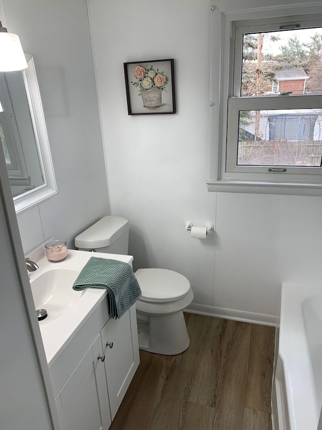 bathroom featuring hardwood / wood-style flooring, vanity, and toilet