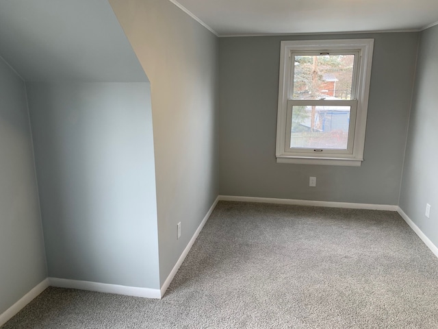 unfurnished room with carpet