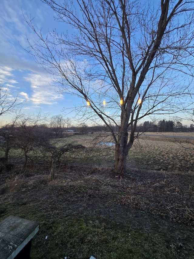 view of yard featuring a rural view