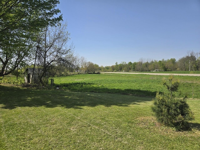 119 W Pearl Rd, Coldwater, MI 49036 - view of green lawn with a view of countryside