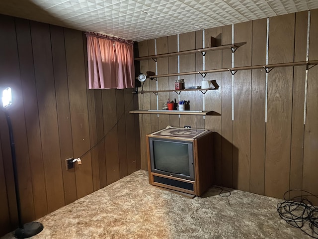 kitchen with carpet floors and wooden walls