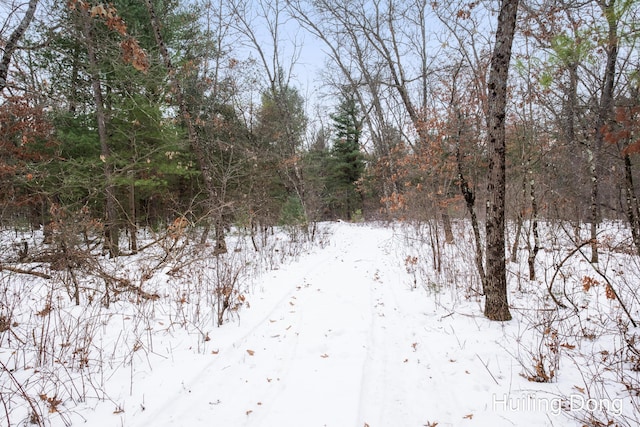 view of snow covered land