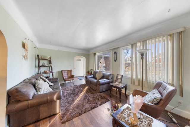 living room with wood-type flooring