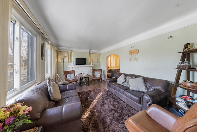 living room featuring hardwood / wood-style flooring and a fireplace