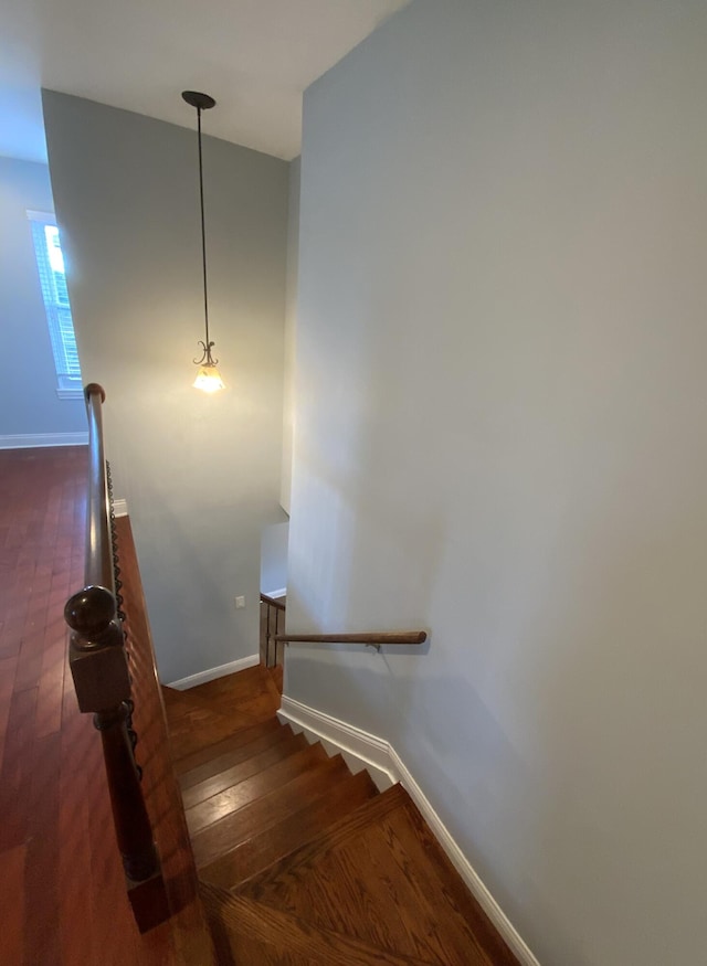 stairway with wood-type flooring