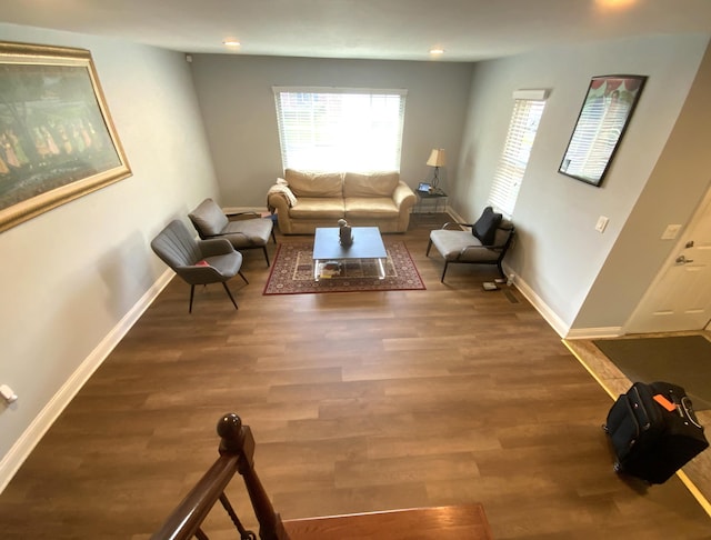 living room with dark wood-type flooring