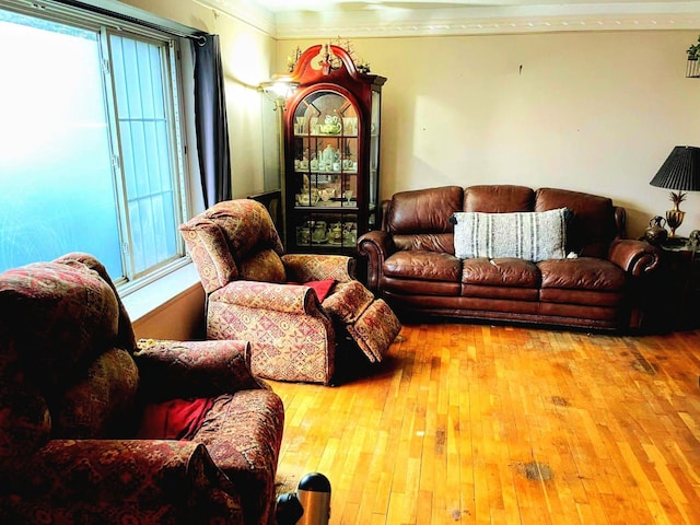 living room featuring ornamental molding and light wood-type flooring