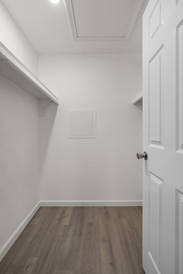 walk in closet with dark wood-type flooring