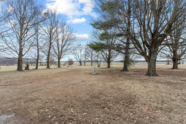 view of yard featuring a rural view