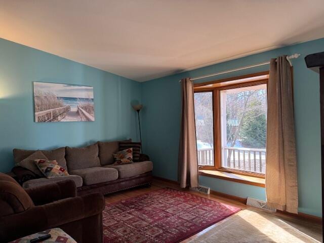 living room with wood-type flooring